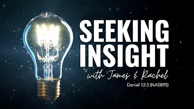 Seeking Insight